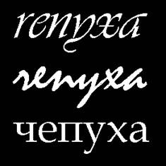 renyxa_logo2.jpg